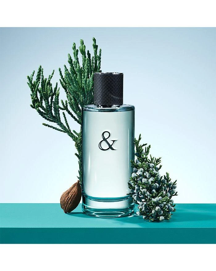 商品Tiffany & Co.|Tiffany & Love for Him Eau de Toilette 3 oz.,价格¥907,第3张图片详细描述