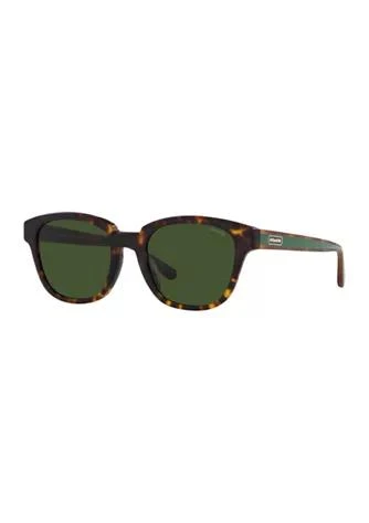 商品Coach|HC8340U C8003 Sunglasses,价格¥896,第1张图片