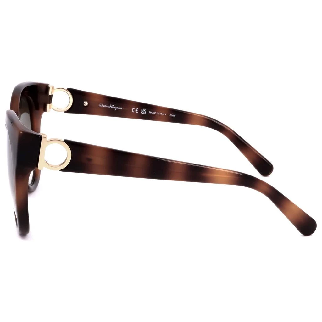 商品Salvatore Ferragamo|Ferragamo Women's Sunglasses SF1031S-214,价格¥525,第2张图片详细描述