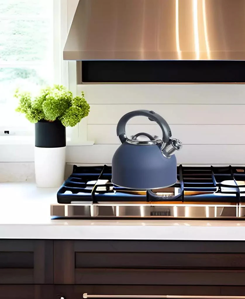 商品Oggi|1.9 Litre Whistling Tea Kettle,价格¥497,第3张图片详细描述