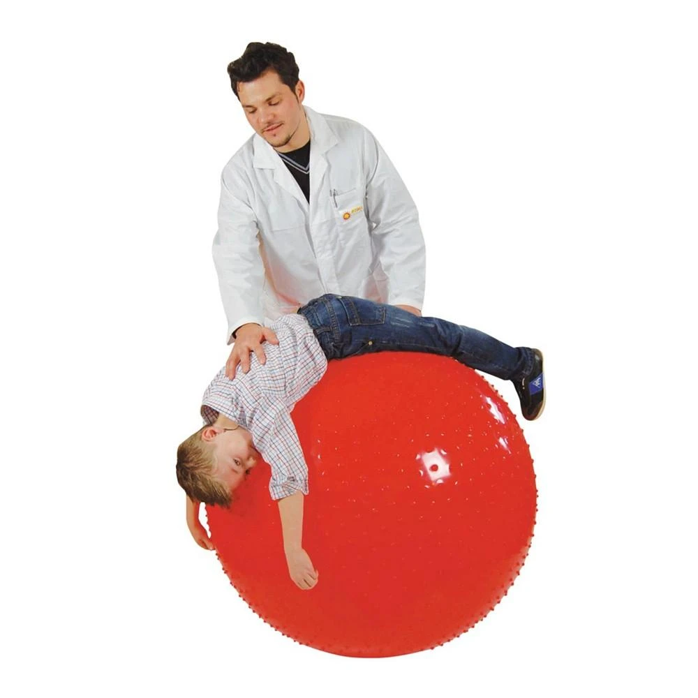 商品Gymnic|Therasensory Exercise Ball 60,价格¥447,第2张图片详细描述