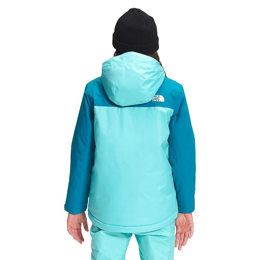 商品The North Face|The North Face Youth Snowquest Plus Insulated Jacket,价格¥679,第5张图片详细描述
