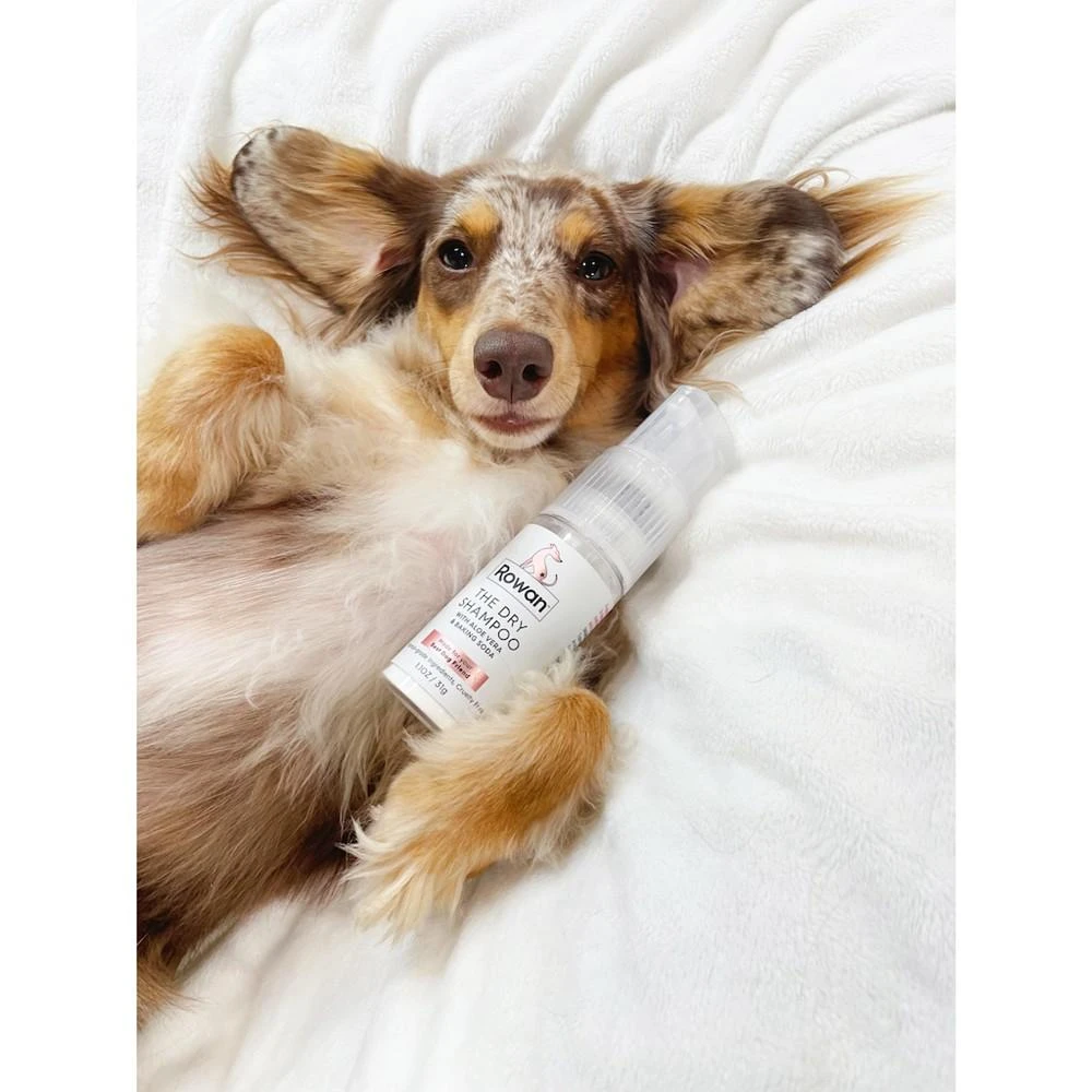 商品Rowan|The  Dry  Shampoo For Dogs - Clean Ingredient and Waterless Shampoo,价格¥149,第2张图片详细描述