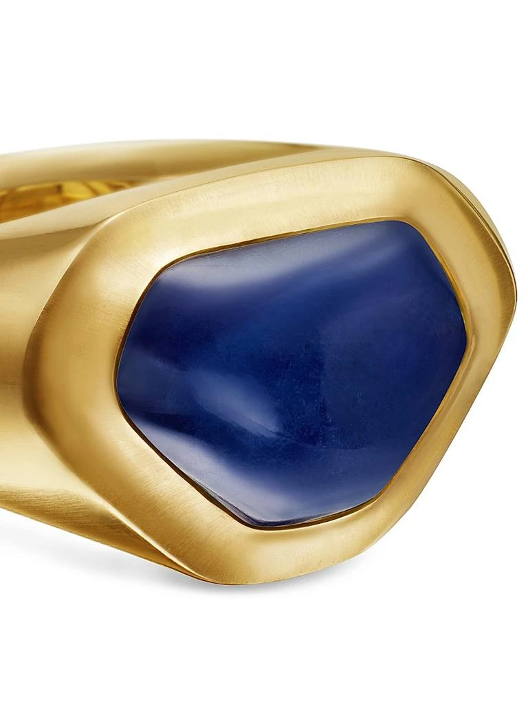 商品David Yurman|Shipwreck Signet Ring in 18K Yellow Gold,价格¥72139,第4张图片详细描述