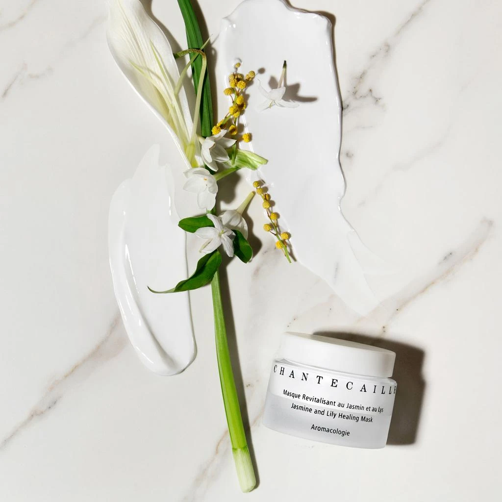 商品Chantecaille|Jasmine and Lily Healing Mask,价格¥823,第4张图片详细描述