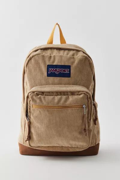 amazonbasics travel 17 inch laptop computer backpack AmazonBasics Adventure Laptop Backpack - Fits Up to 17 Inch Laptops: Buy  Online at Best Price in UAE