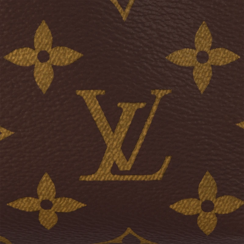 LV/路易威登 女士棕色老花帆布手提包 商品