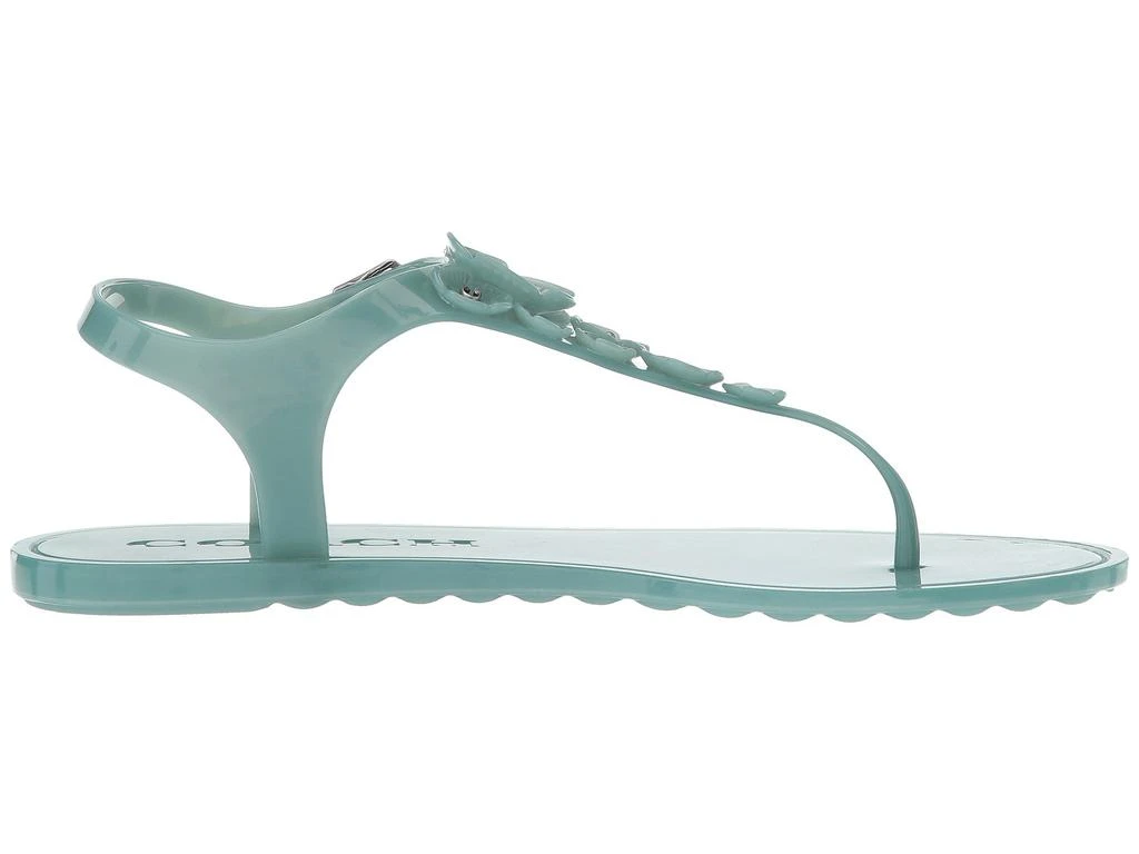 Tea Rose Jelly Sandal 商品