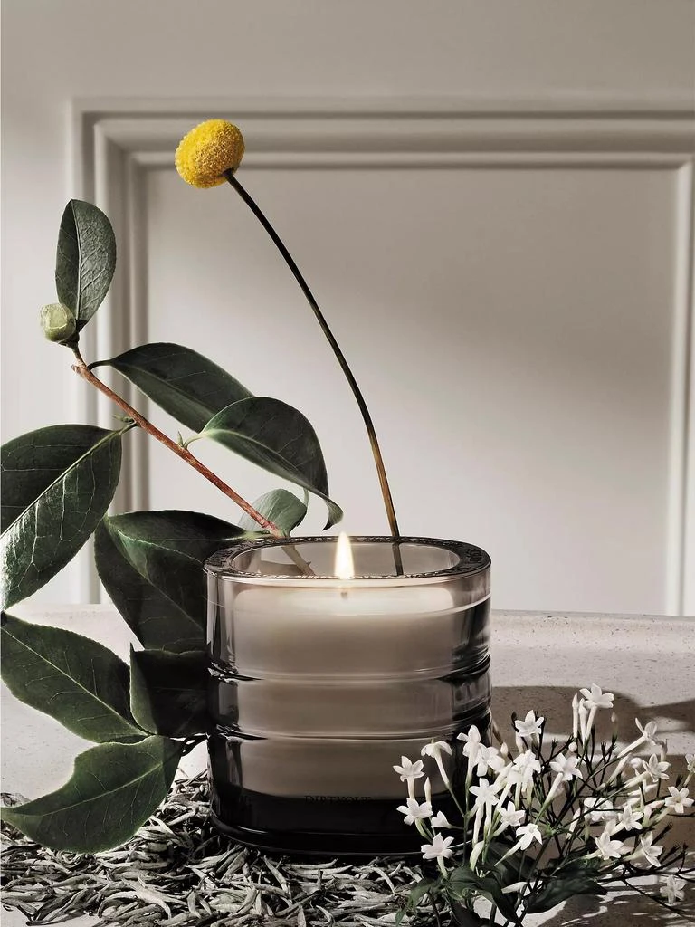 商品Diptyque|La Vallée du Temps (Valley of Time) Refillable Candle,价格¥1816,第2张图片详细描述