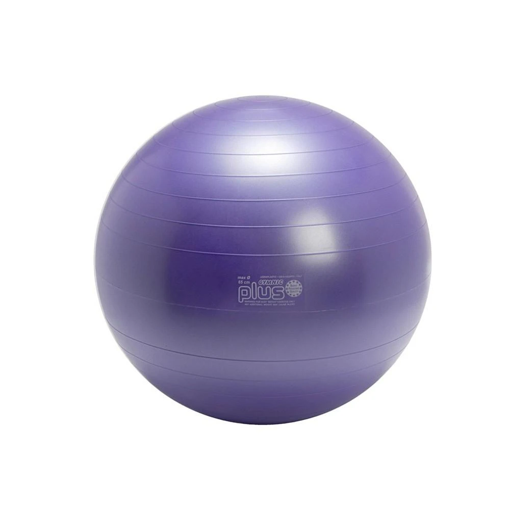 商品Gymnic|Exercise Ball Plus 65,价格¥484,第1张图片