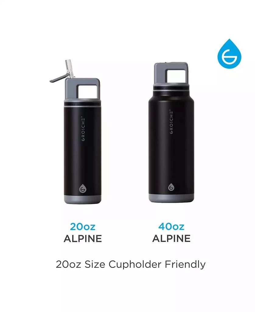 Alpine Flip 'N Sip Insulated Water Bottle with Straw 2pk 20 OZ + 40 OZ 商品