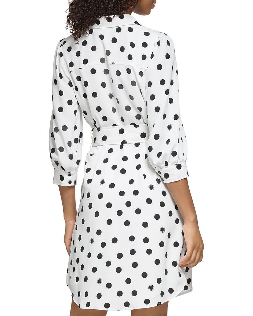 Belted Polka Dot Shirt Dress商品第3张图片规格展示