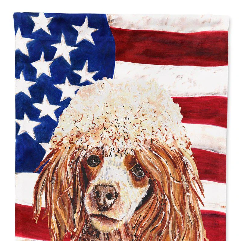 商品Caroline's Treasures|11 x 15 1/2 in. Polyester Red Miniature Poodle with American Flag USA Garden Flag 2-Sided 2-Ply,价格¥136,第1张图片