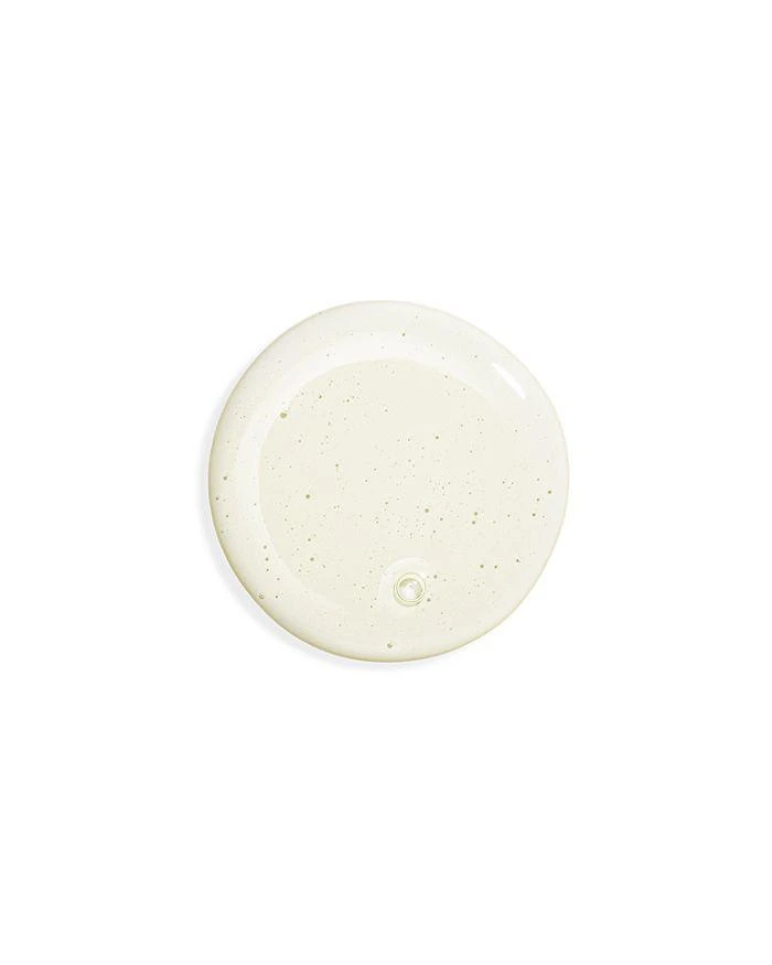 商品Sisley|Hair Rituel Gentle Purifying Shampoo 6.7 oz.,价格¥663,第3张图片详细描述