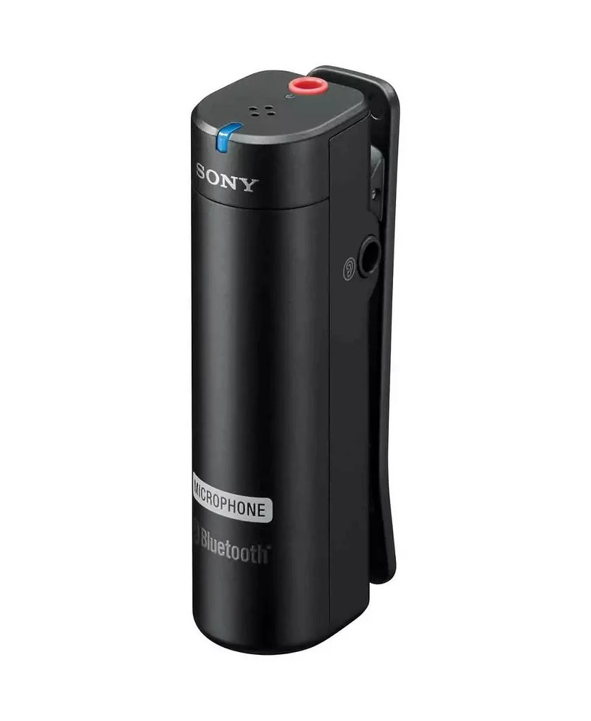 ECM-AW4 Bluetooth Wireless Microphone System 商品