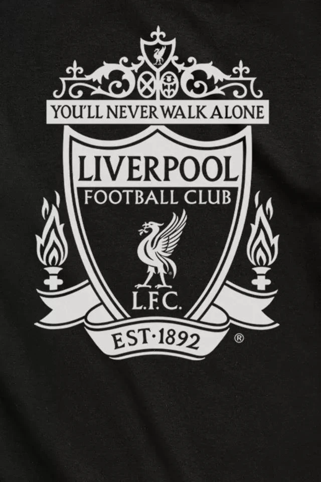 商品Urban Outfitters|Liverpool Football Club Logo Crest Tee,价格¥272,第2张图片详细描述