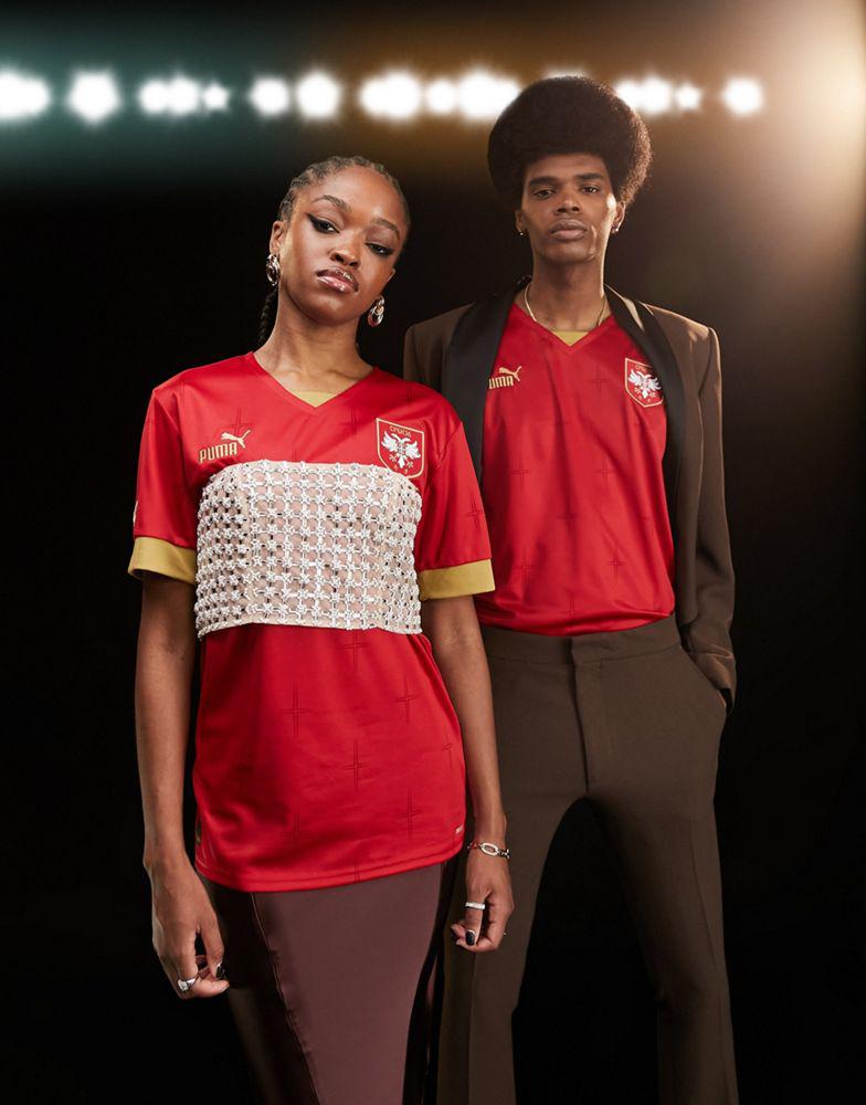 Puma Football Serbia World Cup 2022 unisex home shirt in red商品第4张图片规格展示