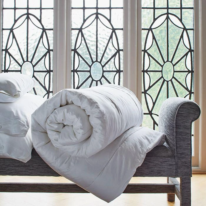 商品Gingerlily|Silk Filled Comforter,价格¥3014,第5张图片详细描述