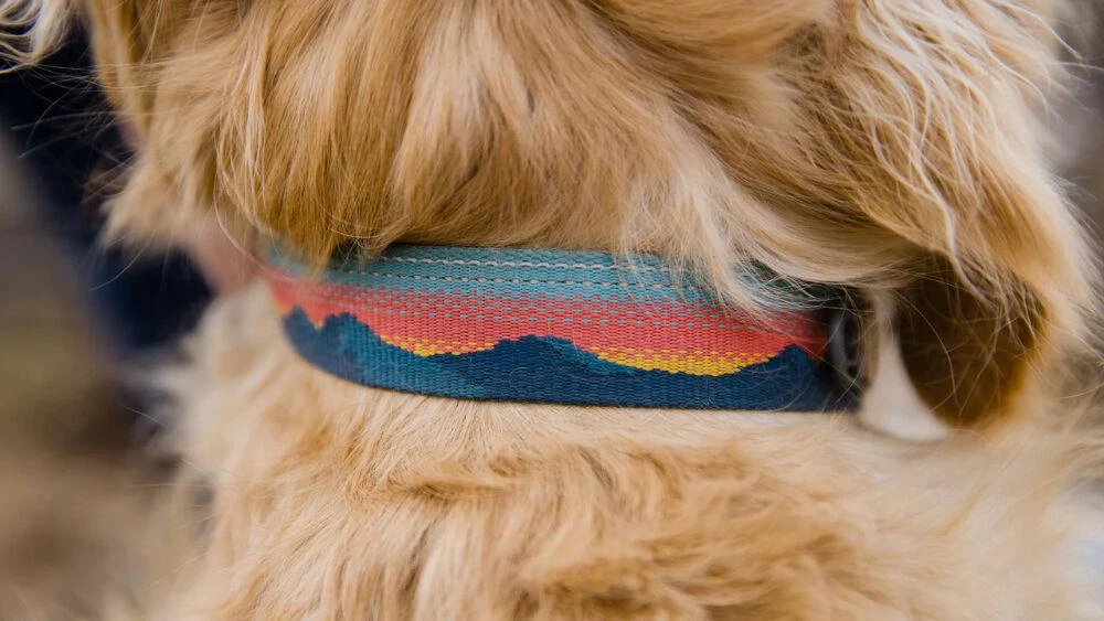商品Ruffwear|Chain Reaction Collar,价格¥129,第3张图片详细描述