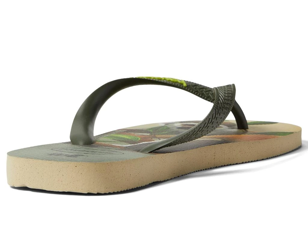 商品Havaianas|Ipe Flip Flop Sandal,价格¥223,第2张图片详细描述