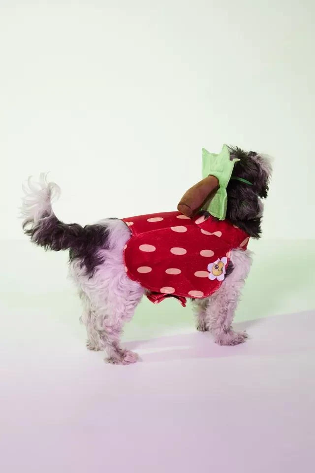 商品Urban Outfitters|Strawberry Dog Costume,价格¥76,第3张图片详细描述