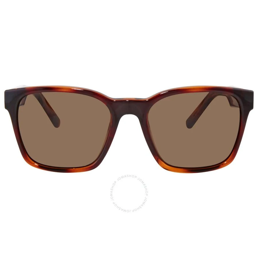 商品Salvatore Ferragamo|Green Square Ladies Sunglasses SF959S 214 55,价格¥445,第1张图片