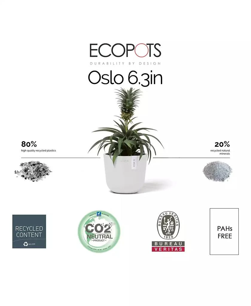 商品ECOPOTS|Oslo Durable Indoor and Outdoor Planter, 6in,价格¥167,第3张图片详细描述