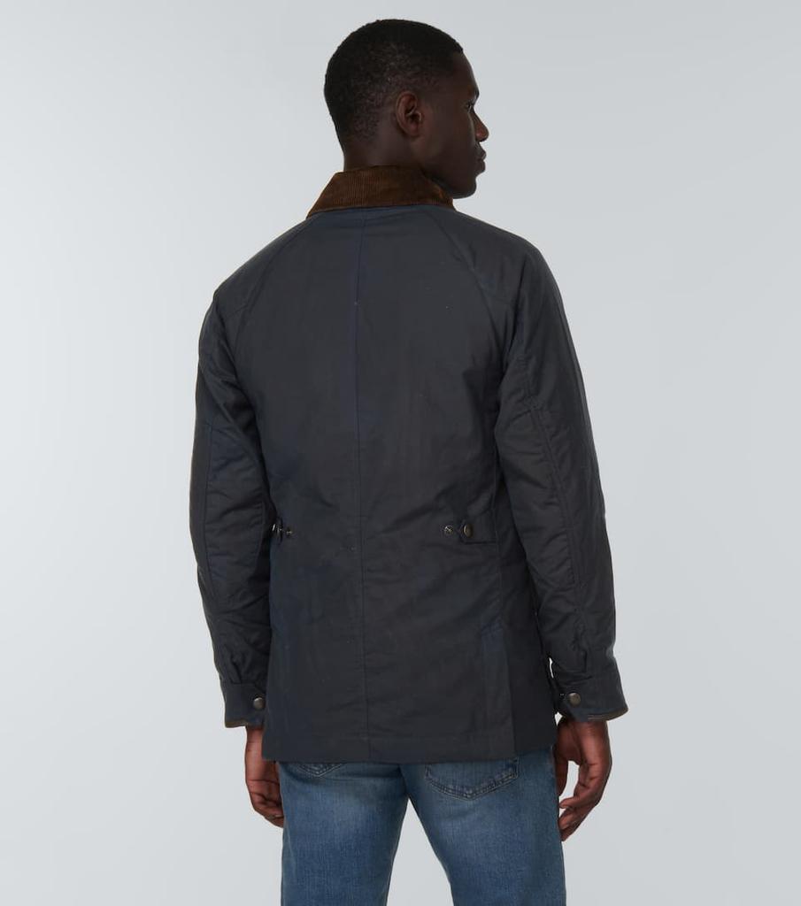 商品Ralph Lauren|棉质派克大衣,价格¥5342,第6张图片详细描述