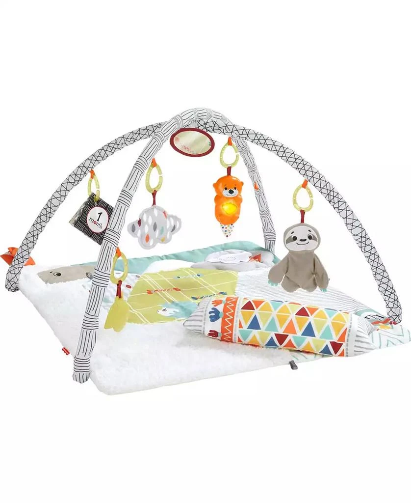 商品Fisher Price|Perfect Sense Deluxe Gym, Plush Infant Play Mat with Toys,价格¥337,第1张图片