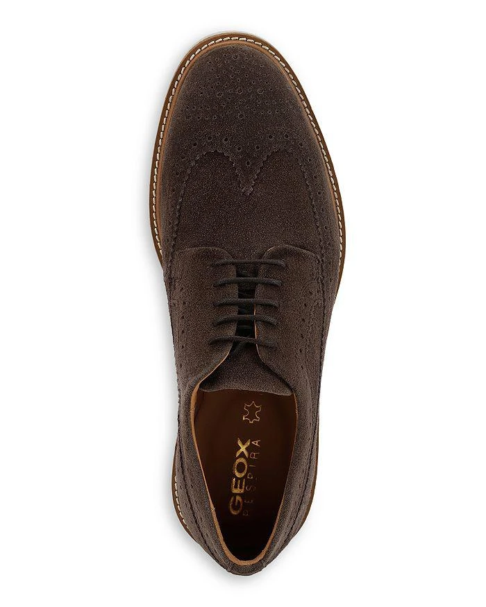 商品Geox|Men's Gubbio Suede Brogue Oxfords,价格¥1321,第2张图片详细描述