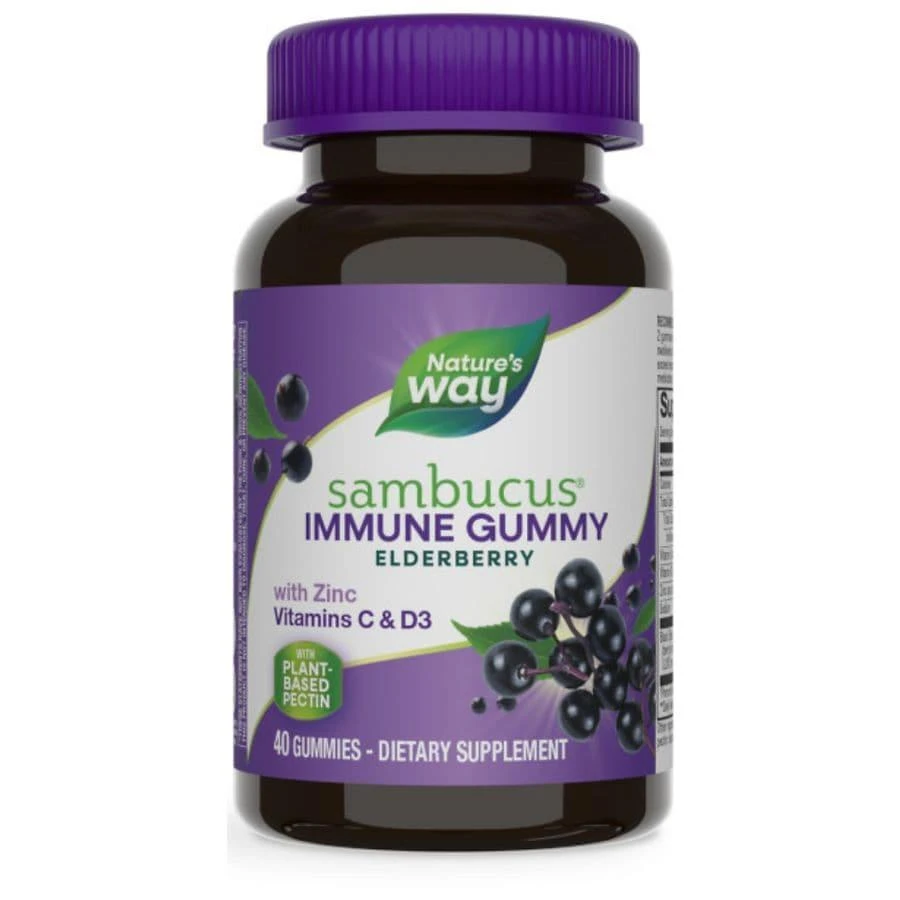 商品Nature's Way|Sambucus Gummies Elderberry,价格¥104,第1张图片