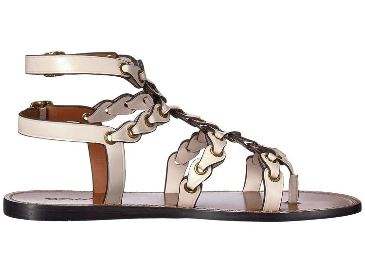 Gladiator Strap Sandal 商品