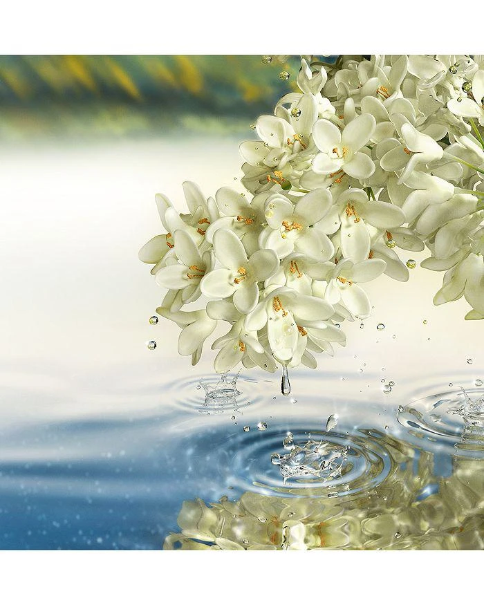 商品Estée Lauder|Paradise Moon Eau de Parfum Spray 1.35 oz.,价格¥179,第3张图片详细描述
