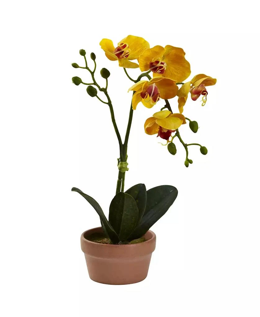 商品NEARLY NATURAL|4-Pc. Phalaenopsis Orchid Set with Clay Vases,价格¥389,第4张图片详细描述