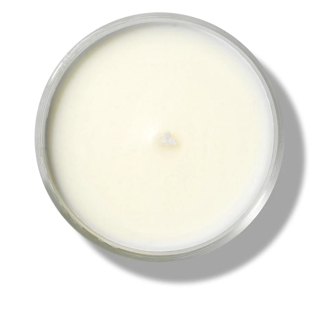 商品Diptyque|Amber Scented Candle,价格¥339-¥542,第2张图片详细描述