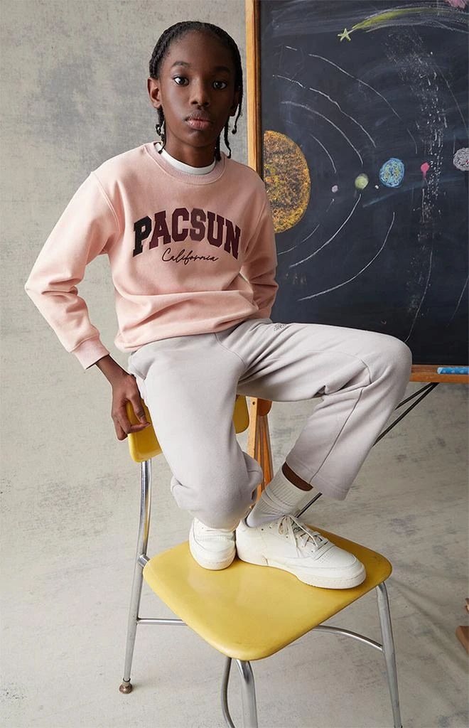 商品PacSun Kids|Light Pink Crew Neck Sweatshirt,价格¥224,第2张图片详细描述