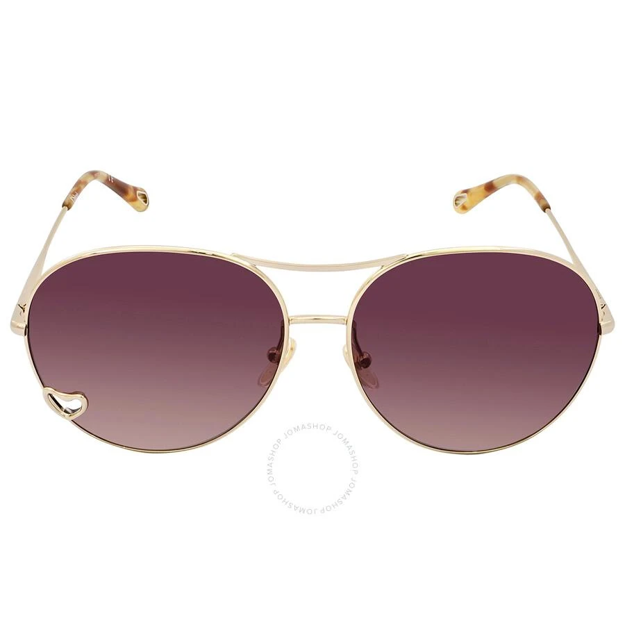 商品Chloé|Chloe Brown Pilot Ladies Sunglasses CH0028S 001 63,价格¥1071,第1张图片