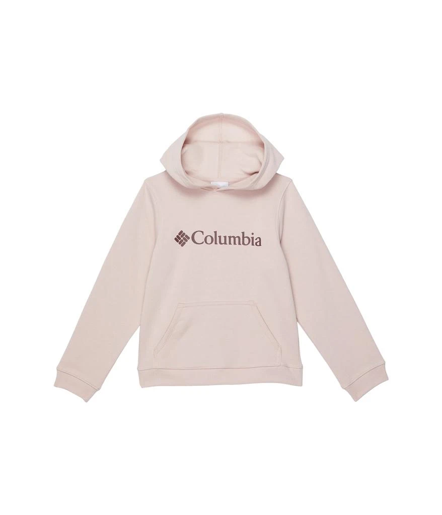 商品Columbia|Columbia Park™ Hoodie (Little Kids/Big Kids),价格¥447,第1张图片