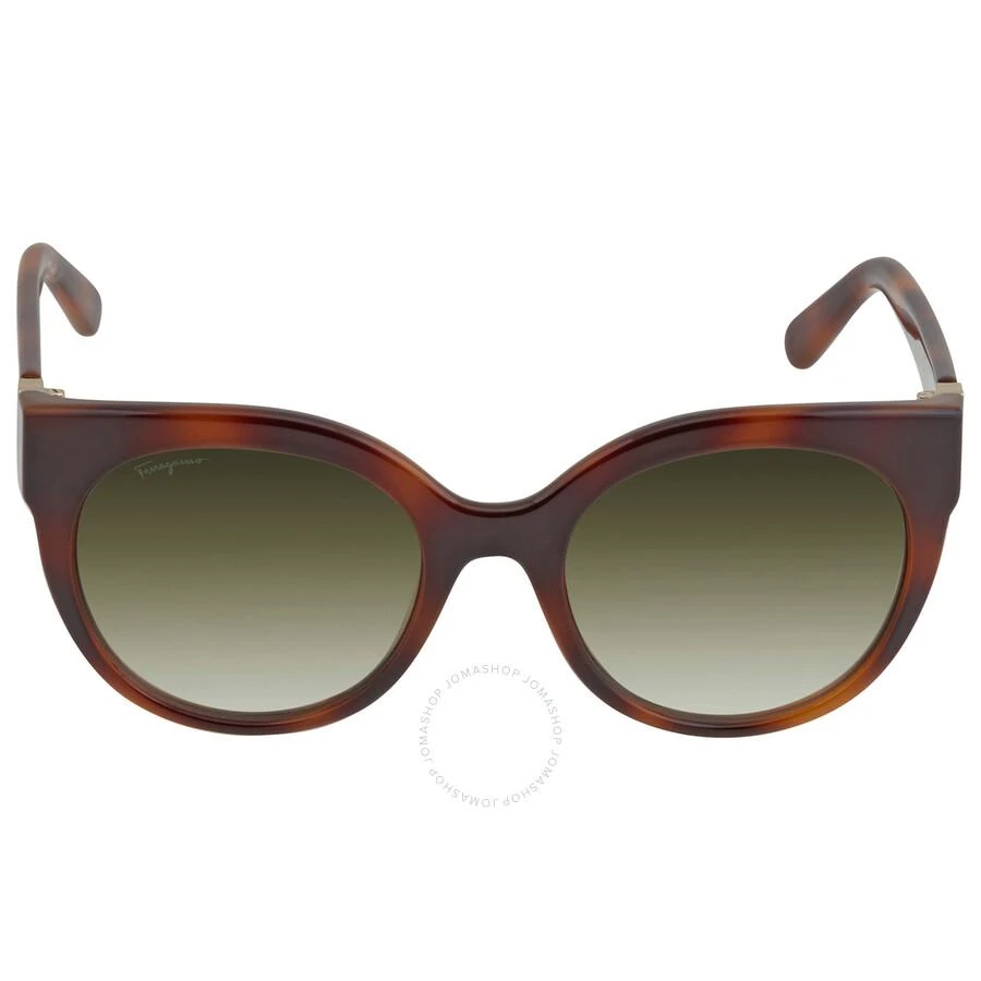 商品Salvatore Ferragamo|Green Cat Eye Ladies Sunglasses SF1031S 214 53,价格¥384,第1张图片