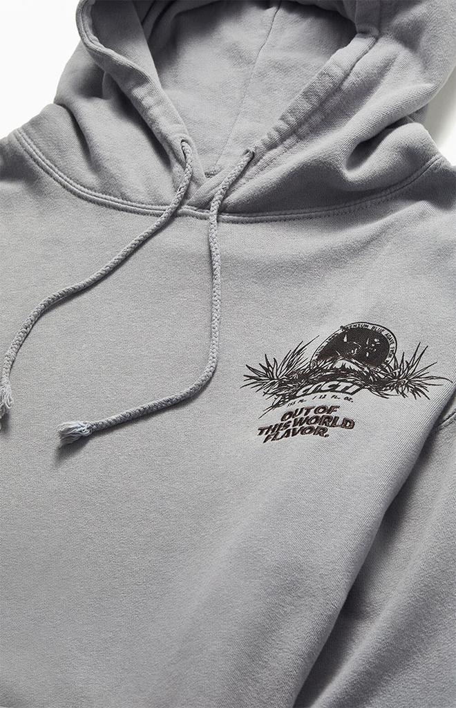 商品Travis Scott|Cacti Oasis Hoodie,价格¥977,第5张图片详细描述