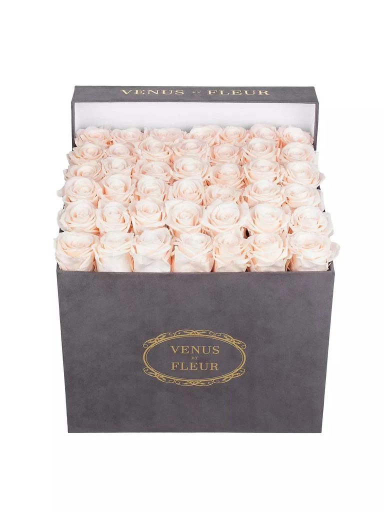 商品Venus ET Fleur|Eternity De Venus Large Suede Square Eternity Roses,价格¥3590,第1张图片