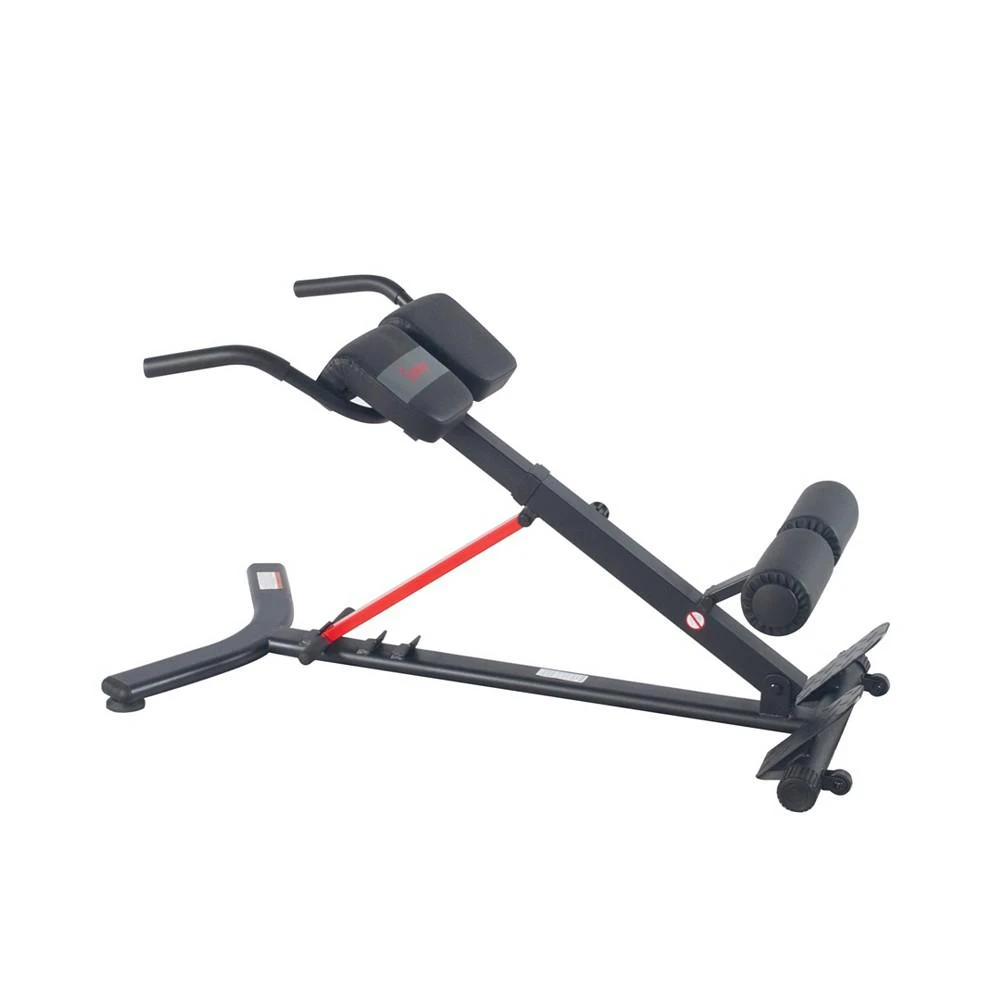 Hyperextension Roman Chair with Dip Station - SF-BH620062 商品