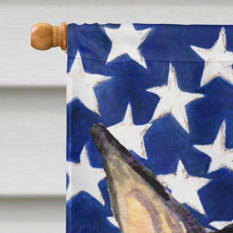 商品Caroline's Treasures|28 x 40 in. Polyester USA American Flag with Doberman Flag Canvas House Size 2-Sided Heavyweight,价格¥329,第2张图片详细描述