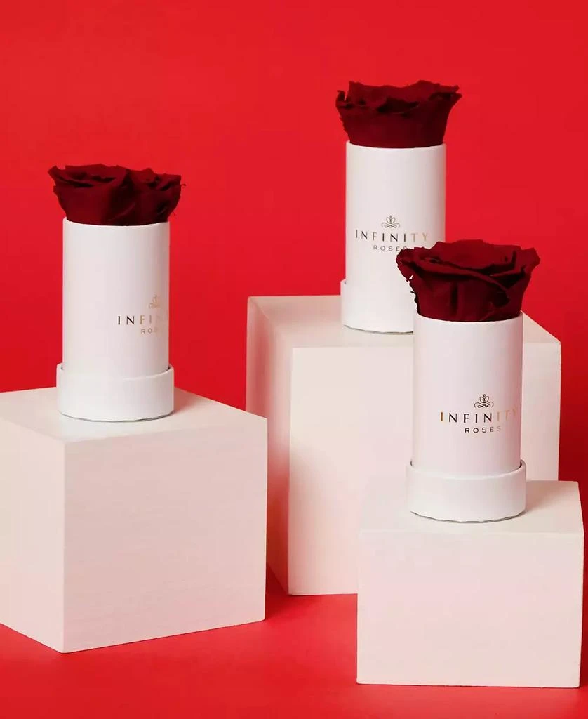 商品Infinity Roses|Single Red Real Rose Preserved To Last Over A Year,价格¥299,第4张图片详细描述