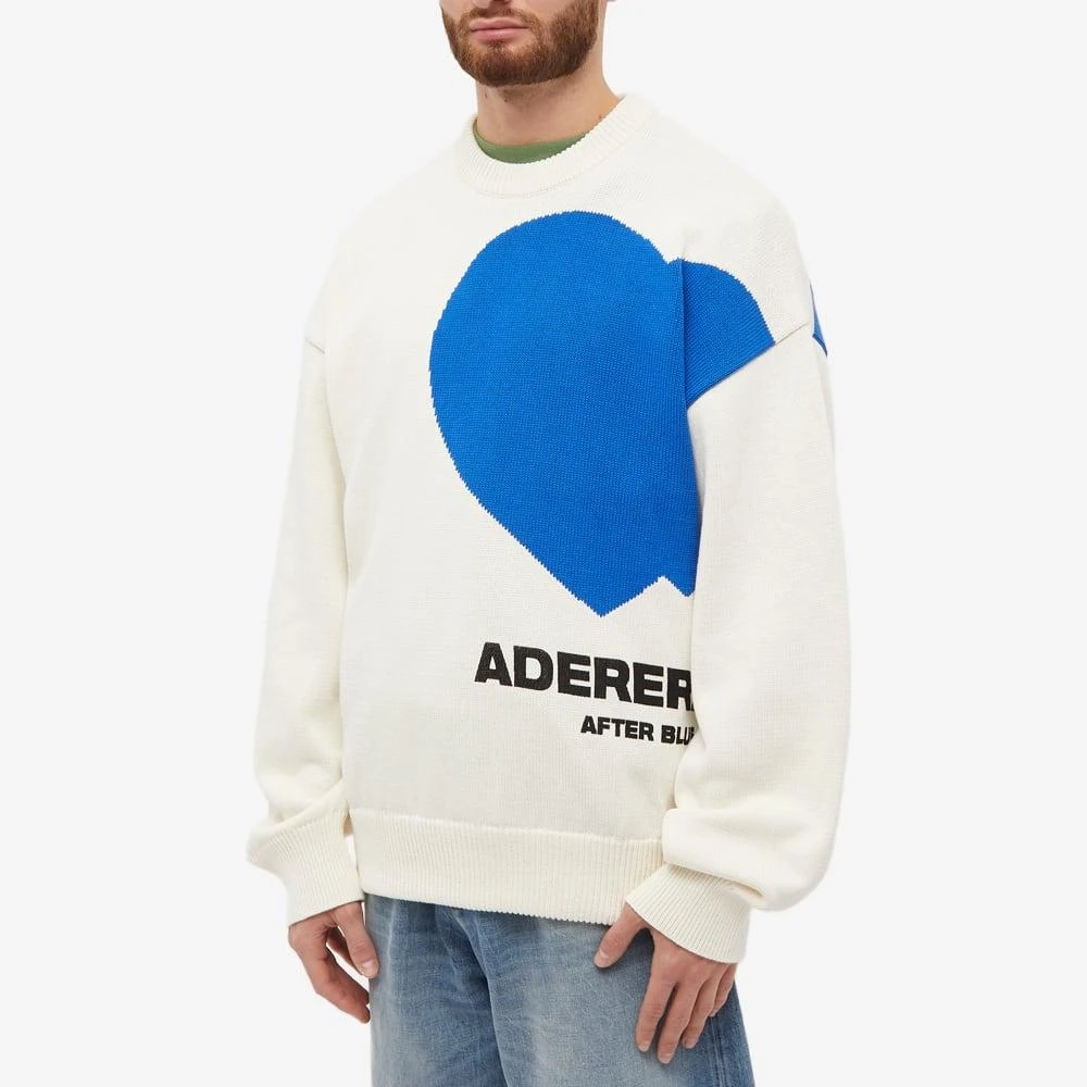 商品ADER error|ADER Error Together Logo Crew Knit,价格¥2606,第2张图片详细描述