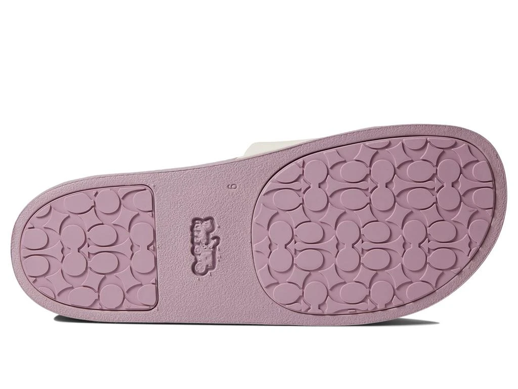 商品Coach|Disney Parks Walt Disney World Motif Sports Slide,价格¥509,第3张图片详细描述