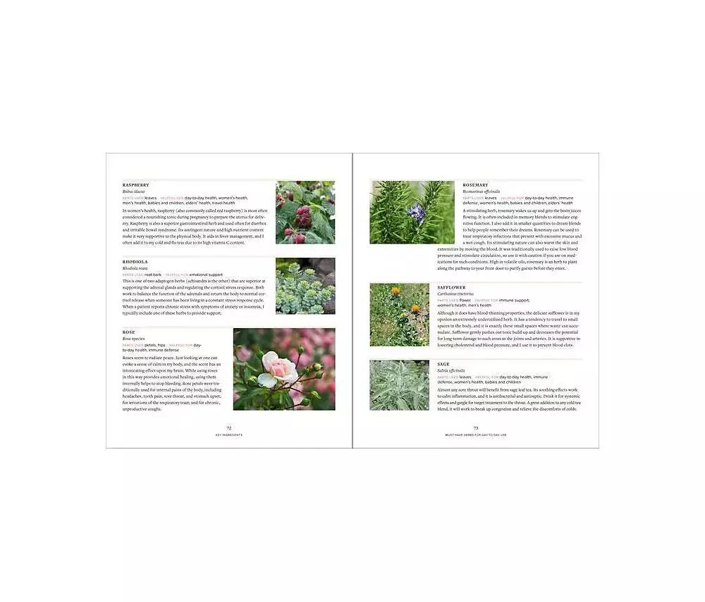 商品Barnes & Noble|Master Recipes From the Herbal Apothecary - 375 Tinctures, Salves, Teas, Capsules, Oils, and Washes For Whole-Body Health and Wellness by Jj Pursell,价格¥193,第5张图片详细描述