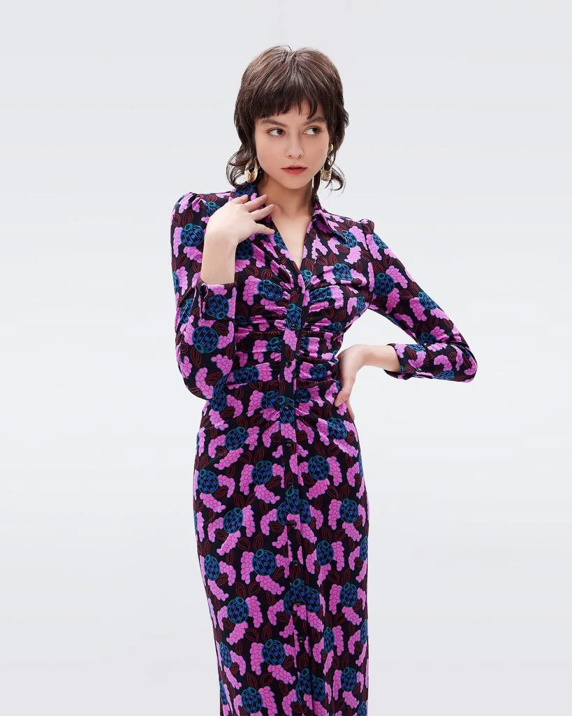 商品Diane von Furstenberg|Sheska Shirt Dress,价格¥1516,第2张图片详细描述