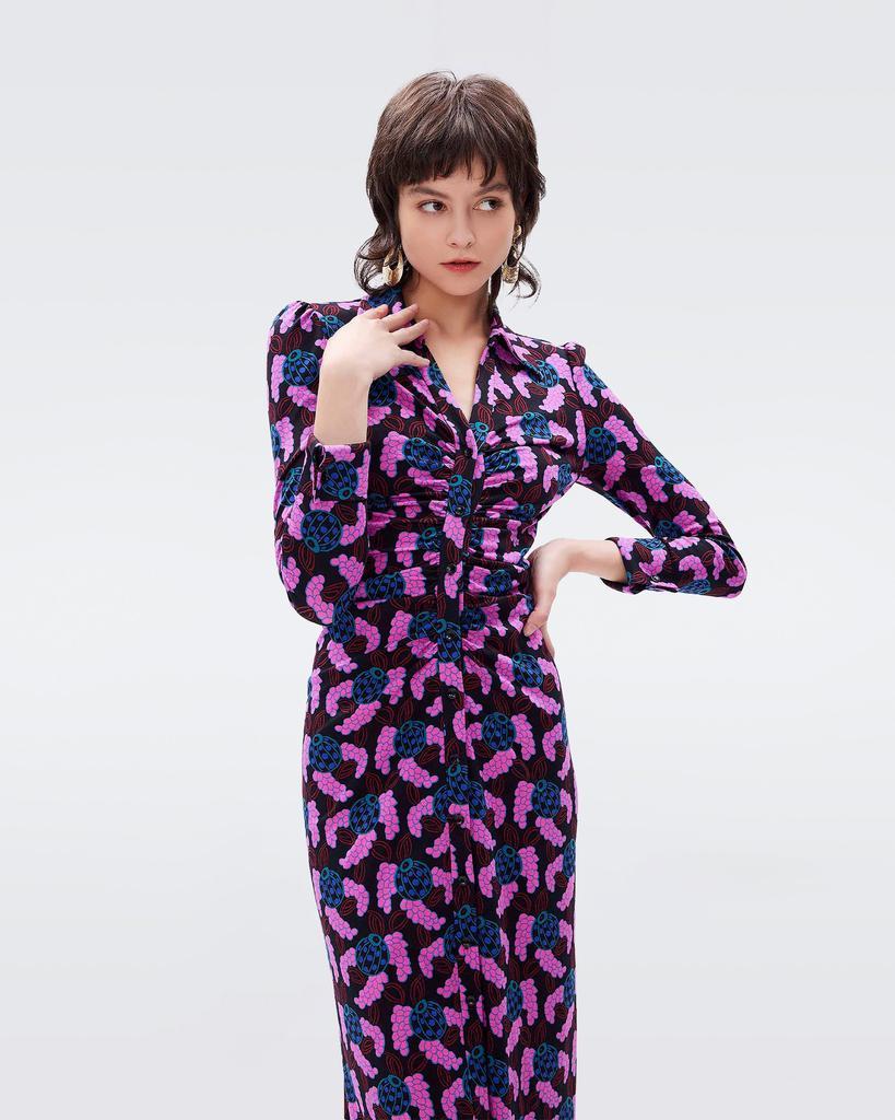 商品Diane von Furstenberg|Sheska Shirt Dress,价格¥3800,第2张图片详细描述