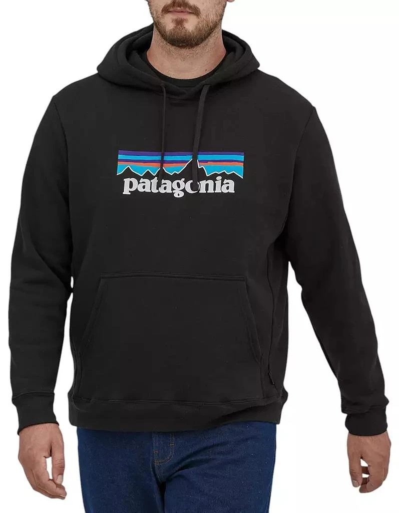 商品Patagonia|男士连帽套头衫,价格¥723,第5张图片详细描述